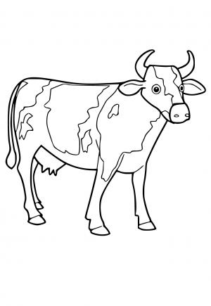 Αγελάδα