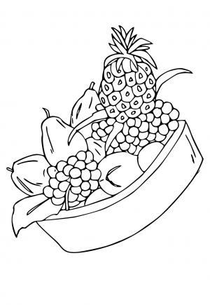 Bộ tranh tô màu hoa quả với nhiều loại hoa và trái cây nhất - Jadiny