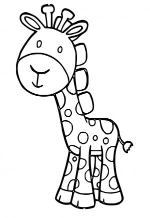 Girafă