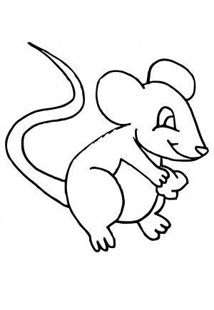 Con Chuột