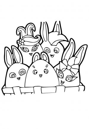 Güneşli Tavşanlar