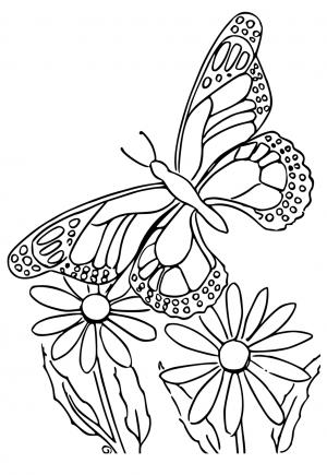 Метелик