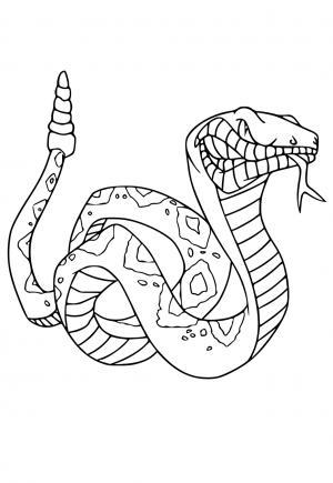 Slange